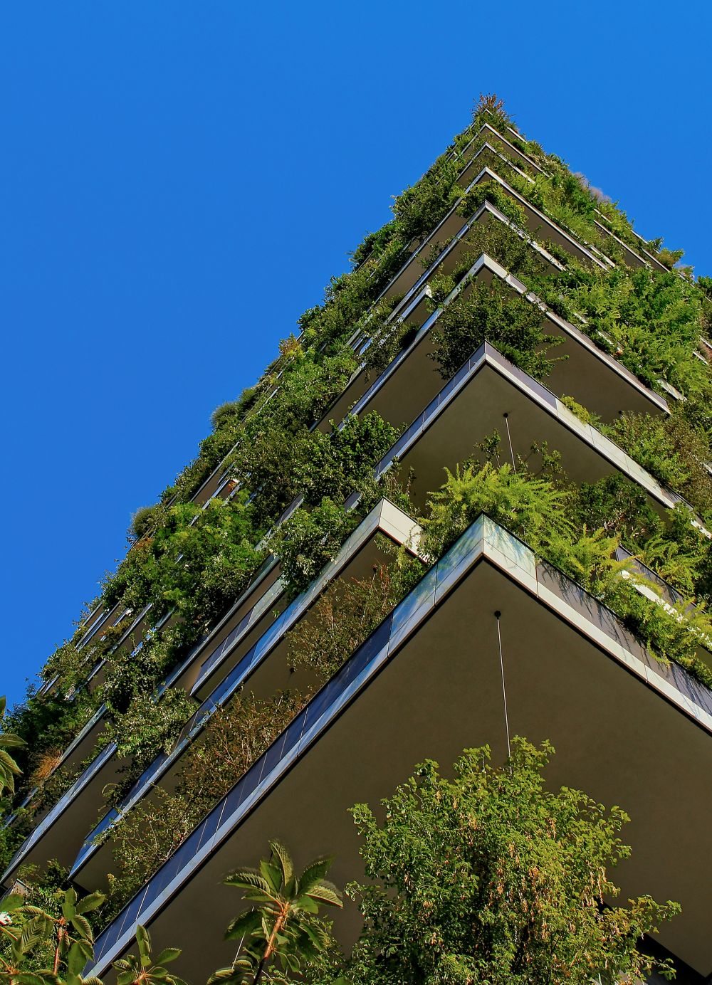 ESG: Miljø, samfunn, og ledelse som nøkkelen til bærekraft